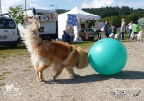 Alwin mit kräftigem Schub