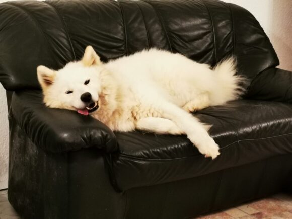 Aska