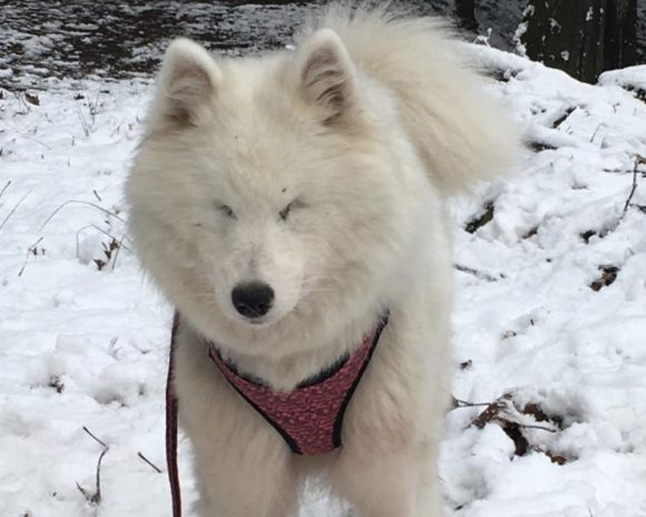 Tasha     !!! Blind !!!