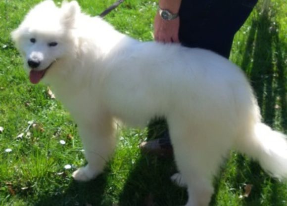 Kimba (nicht mehr Waterloo)