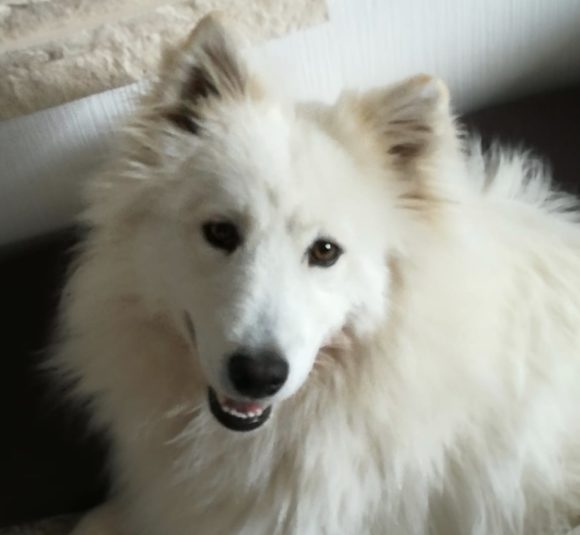 unbenannt auf   Kvayi