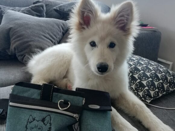 Trixie