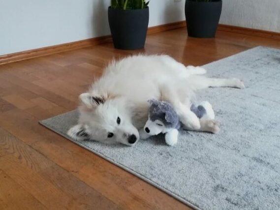 Lykke