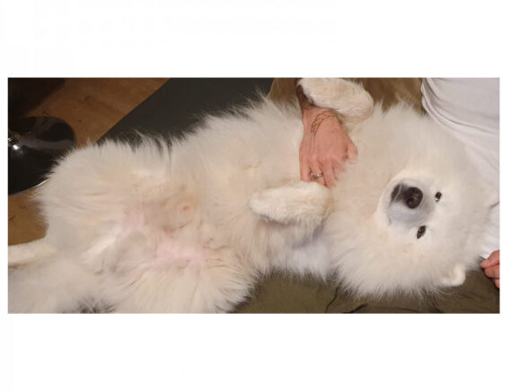 Balou, jetzt mit Video (-: