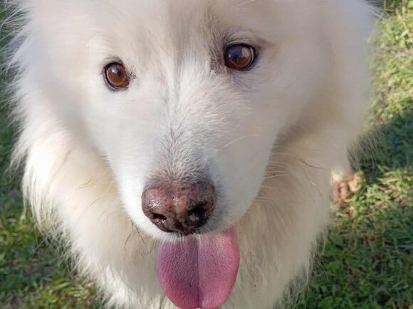 Franzi – unsere Mama