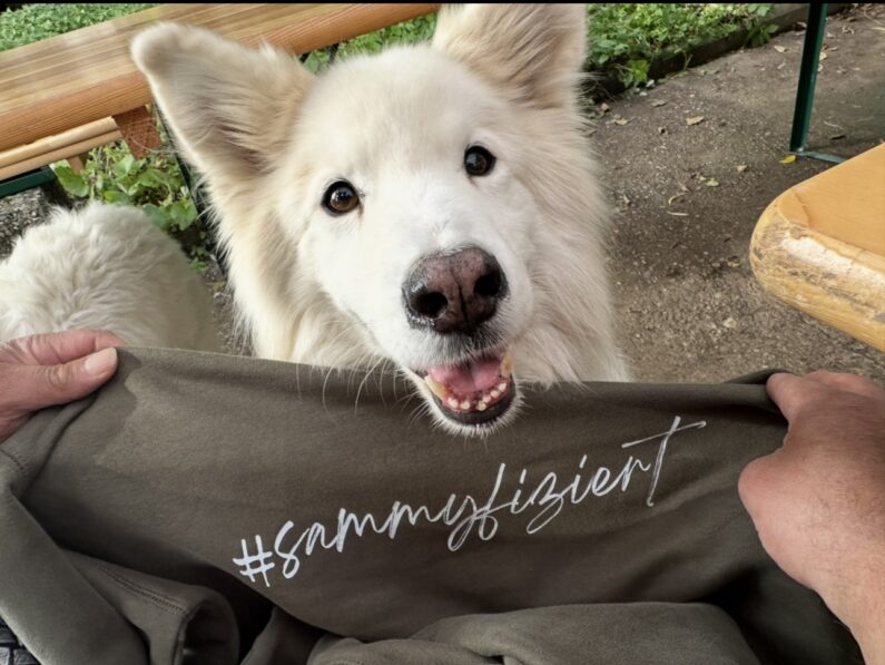 Aktuelles 20. September