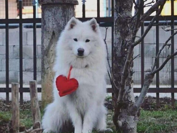 Mia eine kleine Knutschkugel