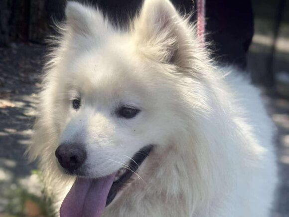 Wicky – der eigentlich Kai heißt