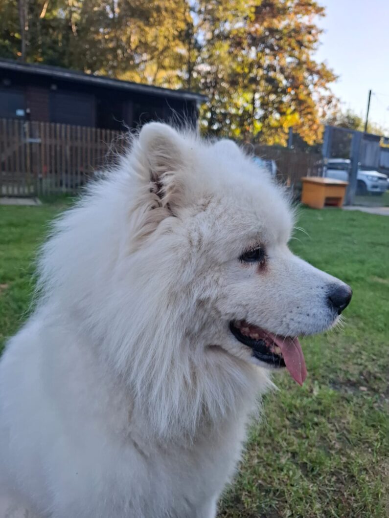 Aktuelles 11. Oktober