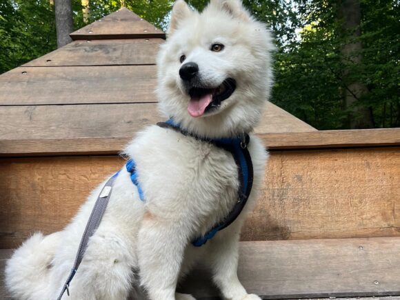 Cloud