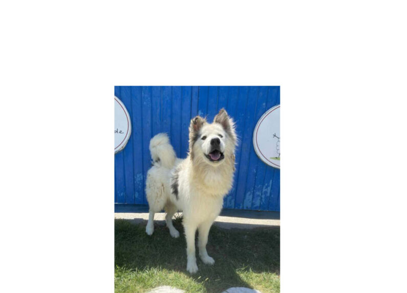 Aktuelles 3. Oktober