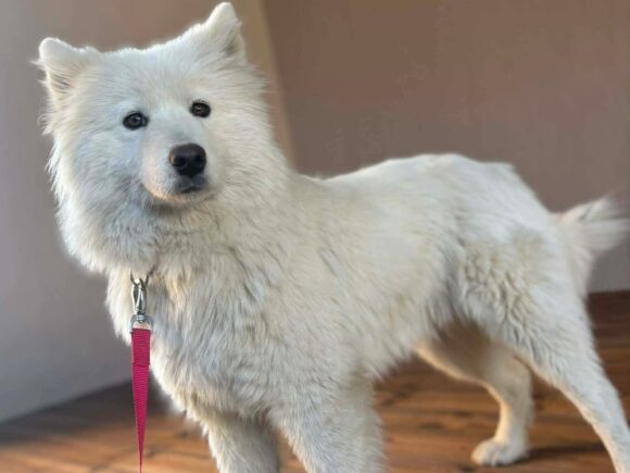 Beauty – die junge Entdeckerin