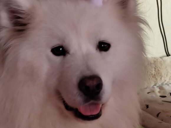 Wicky – der eigentlich Kai heißt