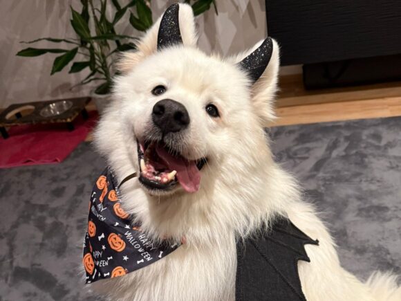 Masum (= der Unschuldige)