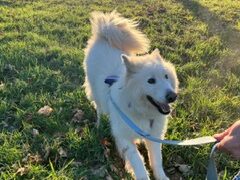 Benjamin – Blümchen ;o)