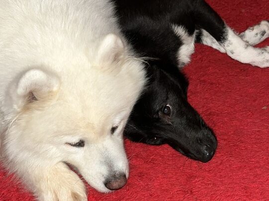 Franzi – unsere Mama + Leyla – ihre Tochter