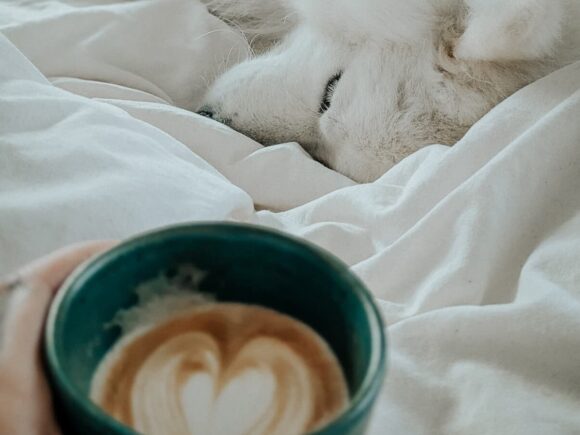 Benjy der gute Laune Hund