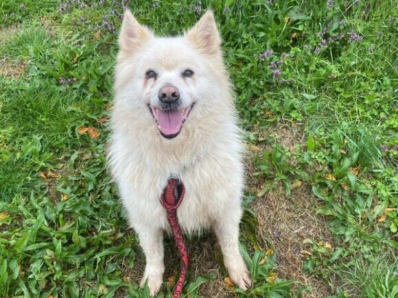 Lewi der Prinz mit Prinzipien