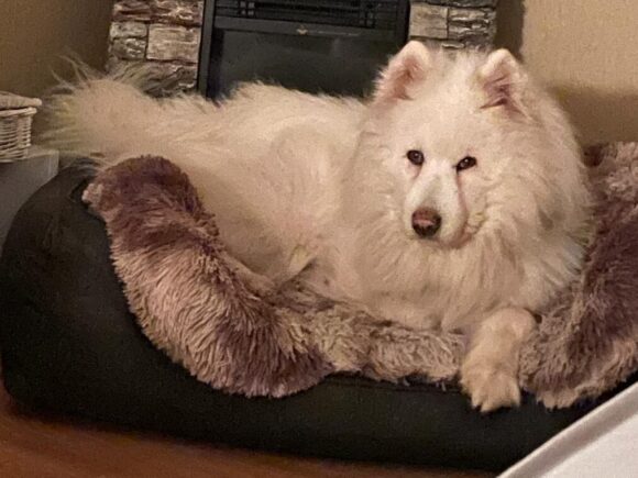 Tobi – auf der Suche nach einem sicheren Hafen