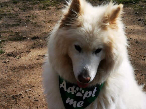 Benjamin – genannt Ben