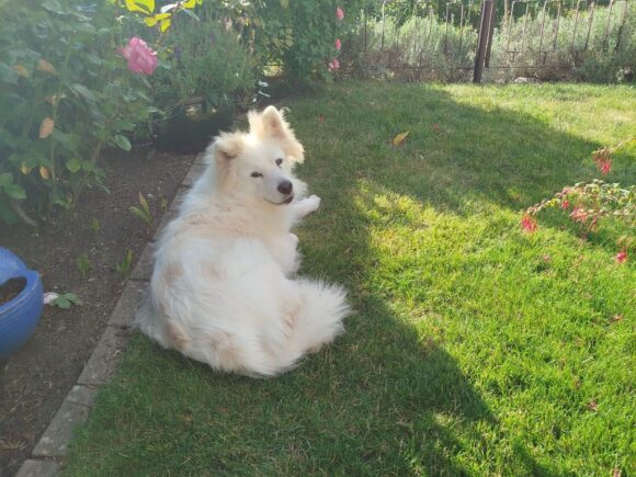 Velvet, unsere Grand Dame